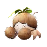 Beach Budclaw Aniimo icon, Earth Lumin