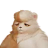 Grizbo Aniimo icon, Earth Gamma