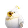 Tubster Aniimo icon, Wind Nova
