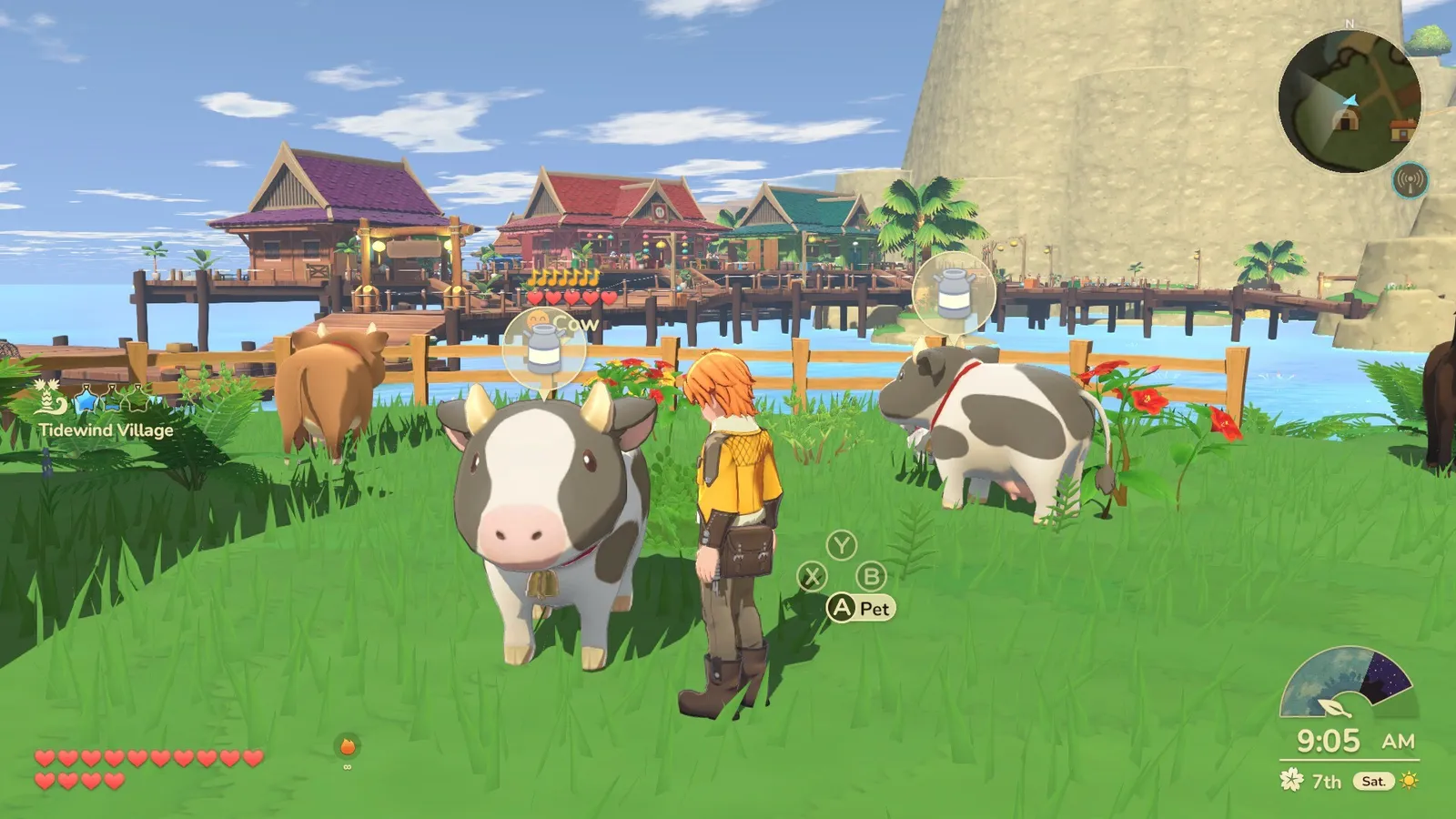 Petting cows by the boardwalk in Tidewind Village