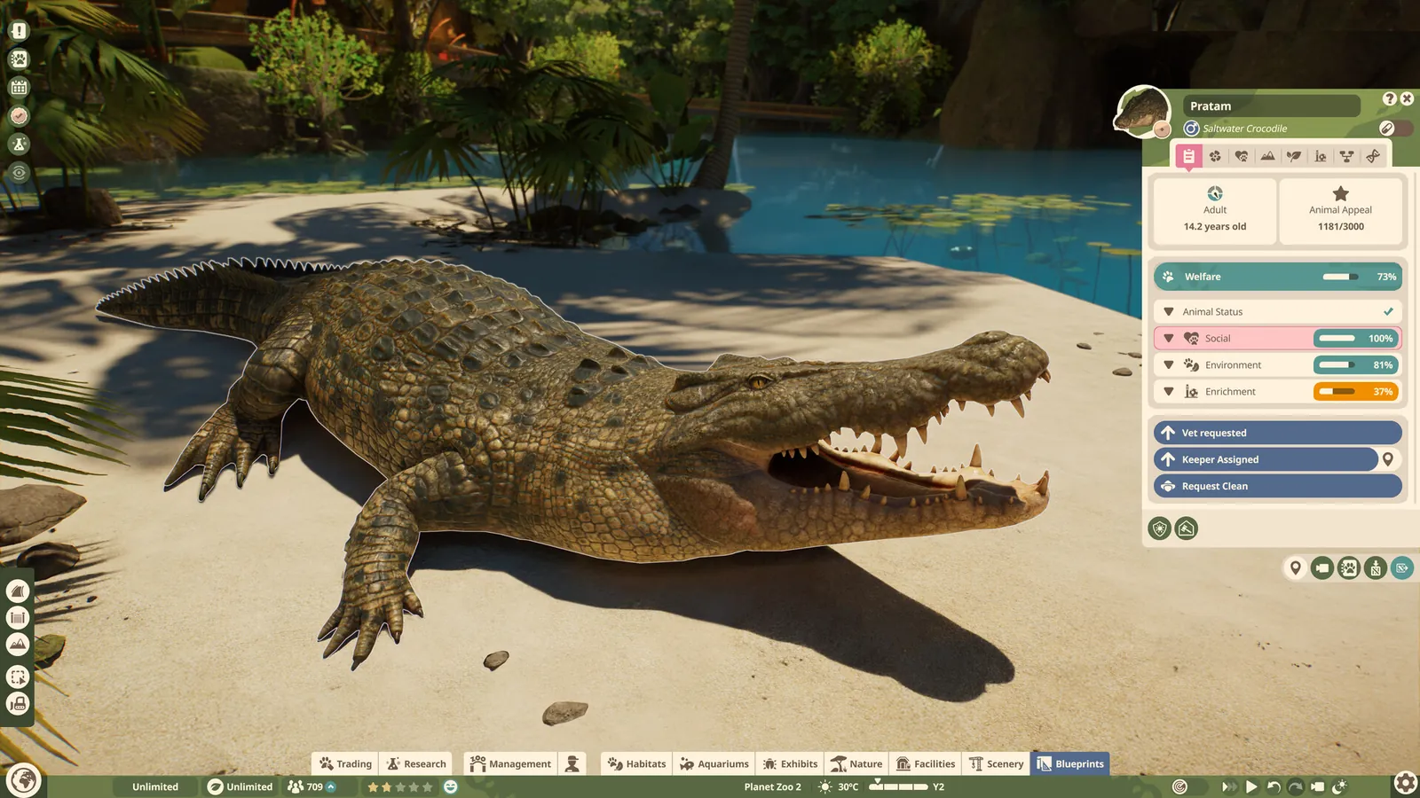 A crocodile on a sandbank with its animal information panel open