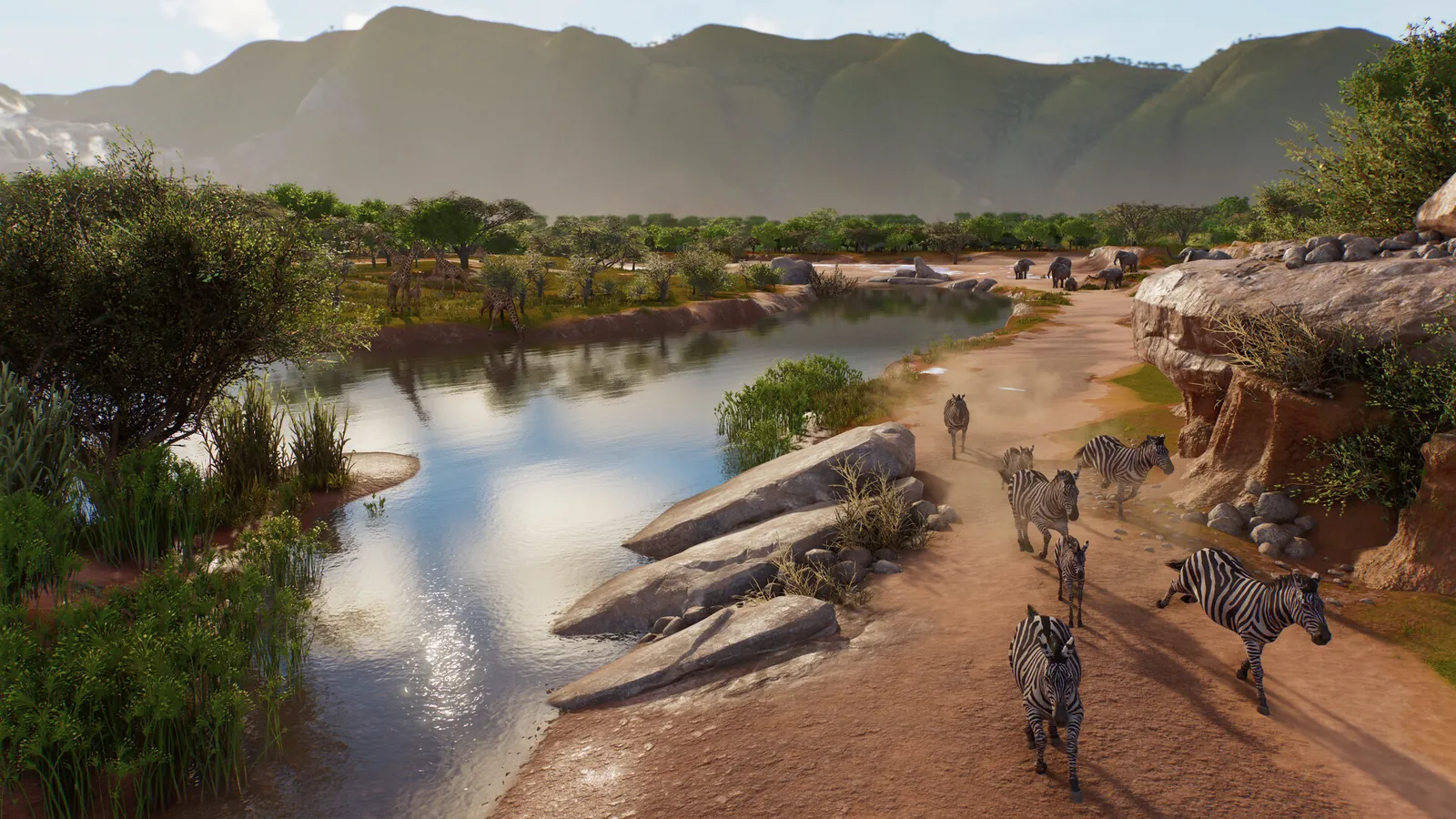 Zebras walking along a river in an open Wildlife Reserve