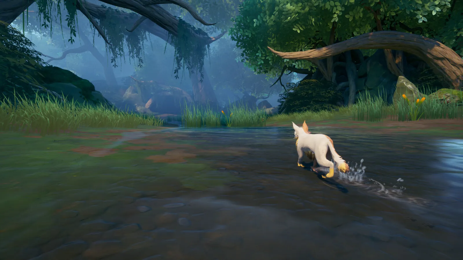 A white cat splashing across a shallow forest stream